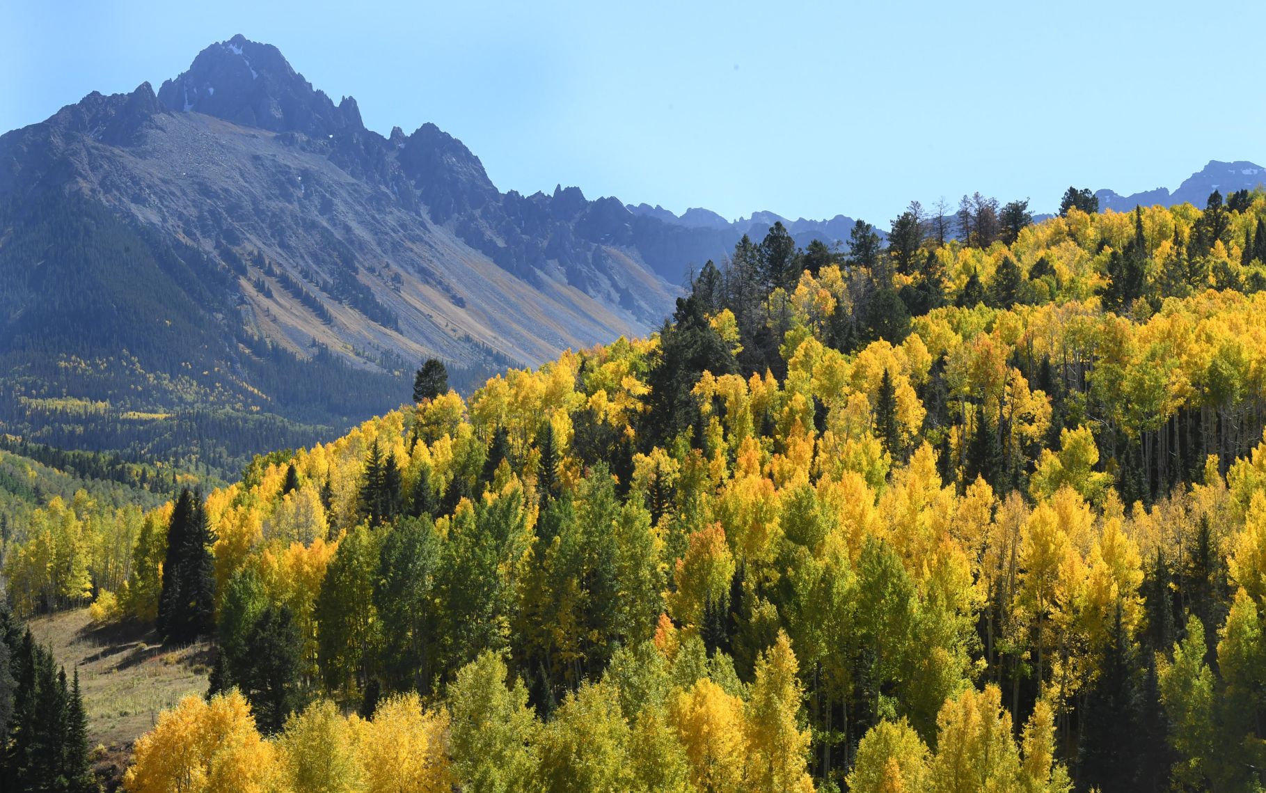 100619-news-aspens 13.JPG